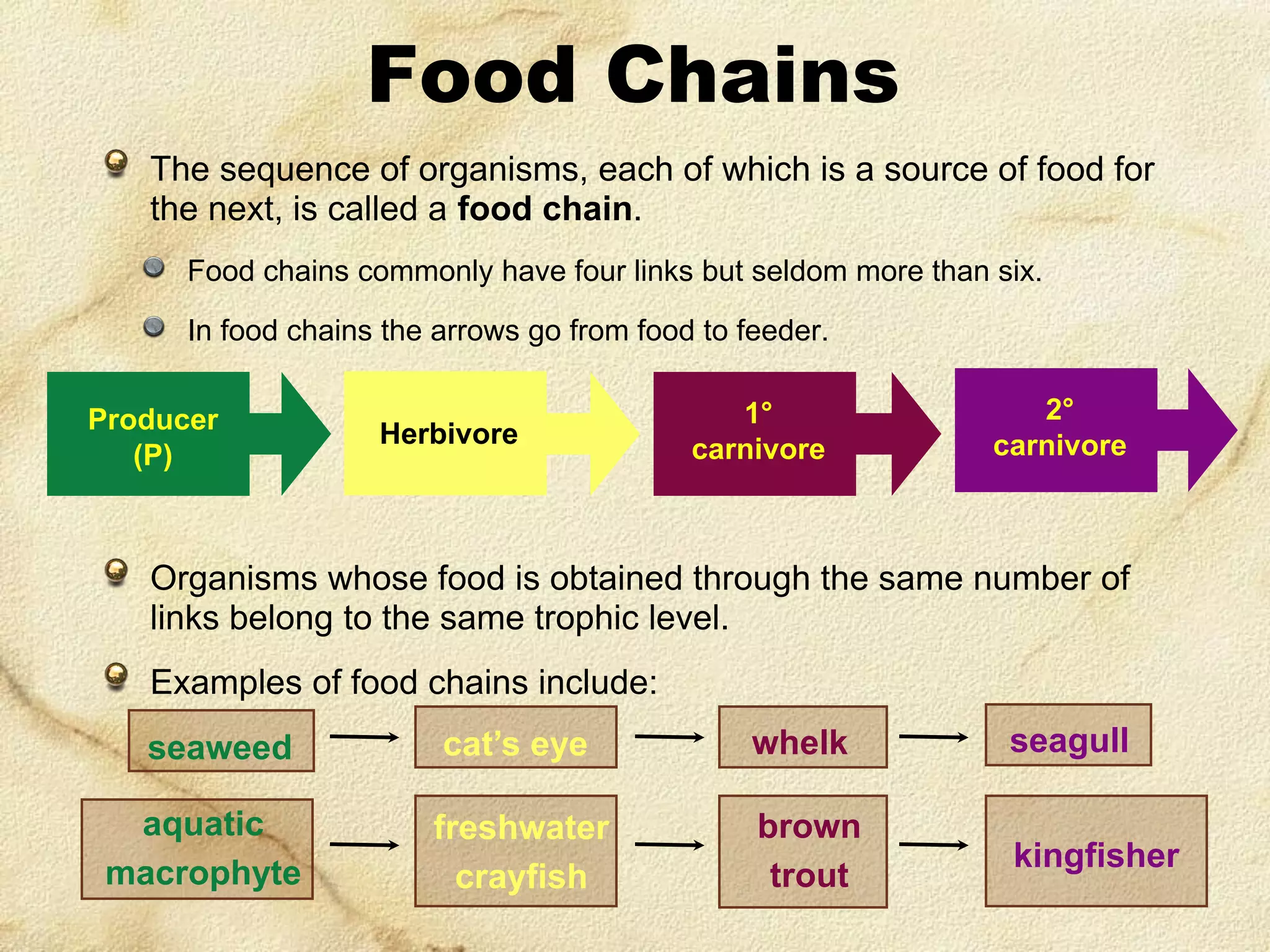 Food Chains
The sequence of organisms, each of which is a source of food for
the next, is called a food chain.
Food chains commonly have four links but seldom more than six.
In food chains the arrows go from food to feeder.
Producer
(P)

Herbivore

1°
carnivore

2°
carnivore

Organisms whose food is obtained through the same number of
links belong to the same trophic level.
Examples of food chains include:
seaweed
aquatic
macrophyte

cat’s eye

whelk

seagull

freshwater
crayfish

brown
trout

kingfisher

 