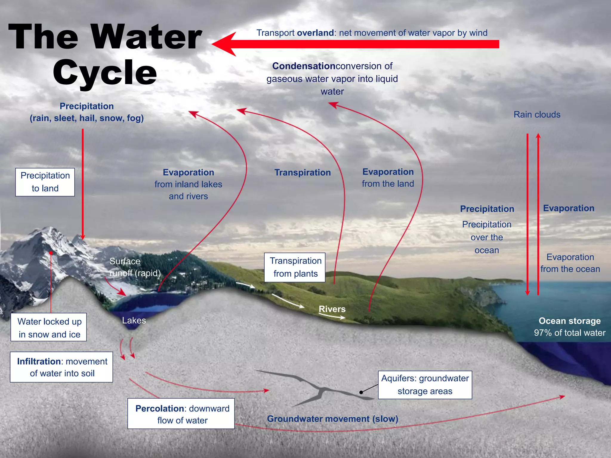 The Water
Cycle

Transport overland: net movement of water vapor by wind

Condensationconversion of
gaseous water vapor into liquid
water

Precipitation
(rain, sleet, hail, snow, fog)

Rain clouds

Evaporation
from inland lakes
and rivers

Precipitation
to land

Transpiration

Evaporation
from the land
Precipitation
Precipitation
over the
ocean

Surface
runoff (rapid)

Transpiration
from plants

Evaporation

Evaporation
from the ocean

Rivers
Water locked up
in snow and ice

Lakes

Infiltration: movement
of water into soil

Ocean storage
97% of total water

Aquifers: groundwater
storage areas
Percolation: downward
flow of water

Groundwater movement (slow)

 