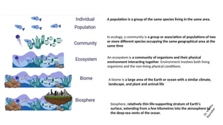 Communities Structure And Factors Affecting Pptx