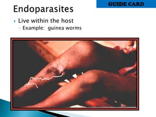  Live within the host
◦ Example: guinea worms
GUIDE CARD
 