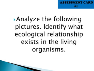 Analyze the following
pictures. Identify what
ecological relationship
exists in the living
organisms.
ASSESSMENT CARD
#1
 