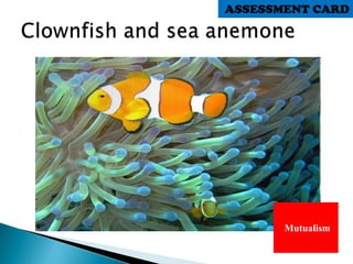 Mutualism
ASSESSMENT CARD
 