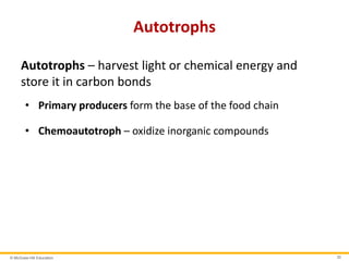 © McGraw-Hill Education 30
Autotrophs
Autotrophs – harvest light or chemical energy and
store it in carbon bonds
• Primary producers form the base of the food chain
• Chemoautotroph – oxidize inorganic compounds
 