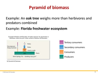 © McGraw-Hill Education 36
Pyramid of biomass
Example: An oak tree weighs more than herbivores and
predators combined
Example: Florida freshwater ecosystem
b) Pyramid of biomass
 