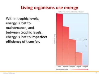 © McGraw-Hill Education 38
Living organisms use energy
Within trophic levels,
energy is lost to
maintenance, and
between trophic levels,
energy is lost to imperfect
efficiency of transfer.
 