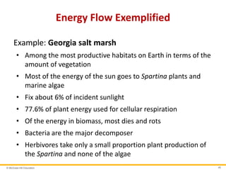 © McGraw-Hill Education 45
Energy Flow Exemplified
Example: Georgia salt marsh
• Among the most productive habitats on Earth in terms of the
amount of vegetation
• Most of the energy of the sun goes to Spartina plants and
marine algae
• Fix about 6% of incident sunlight
• 77.6% of plant energy used for cellular respiration
• Of the energy in biomass, most dies and rots
• Bacteria are the major decomposer
• Herbivores take only a small proportion plant production of
the Spartina and none of the algae
 