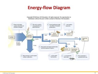© McGraw-Hill Education 46
Energy-flow Diagram
 