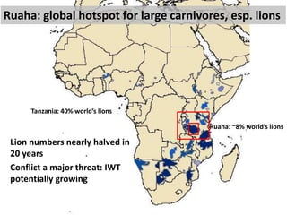 Ruaha: ~8% world’s lions
Tanzania: 40% world’s lions
Lion numbers nearly halved in
20 years
Conflict a major threat: IWT
p...