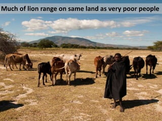 Much of lion range on same land as very poor people
 