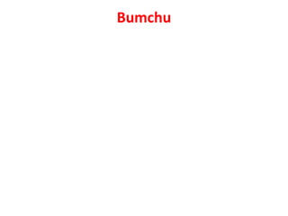 Bumchu
 