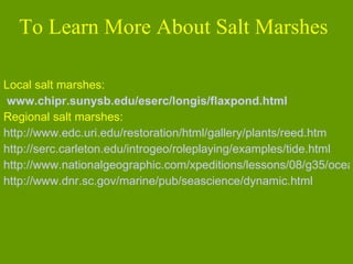 To Learn More About Salt Marshes Local salt marshes:  www.chipr.sunysb.edu/eserc/longis/flaxpond.html Regional salt marshes: http:// www.edc.uri.edu/restoration/html/gallery/plants/reed.htm http:// serc.carleton.edu/introgeo/roleplaying/examples/tide.html http://www.nationalgeographic.com/xpeditions/lessons/08/g35/oceans35.html http:// www.dnr.sc.gov/marine/pub/seascience/dynamic.html 