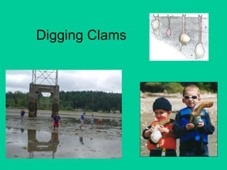 Digging Clams 