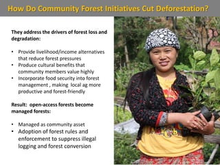 How Do Community Forest Initiatives Cut Deforestation?
They address the drivers of forest loss and
degradation:
• Provide livelihood/income alternatives
that reduce forest pressures
• Produce cultural benefits that
community members value highly
• Incorporate food security into forest
management , making local ag more
productive and forest-friendly
Result: open-access forests become
managed forests:
• Managed as community asset
• Adoption of forest rules and
enforcement to suppress illegal
logging and forest conversion
 