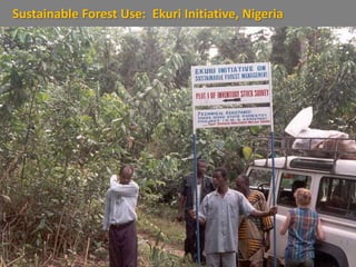 Sustainable Forest Use: Ekuri Initiative, Nigeria
 