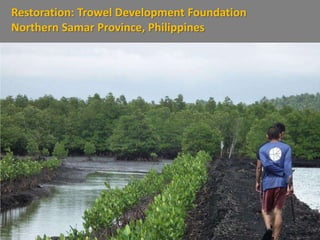 Restoration: Trowel Development Foundation
Northern Samar Province, Philippines
 