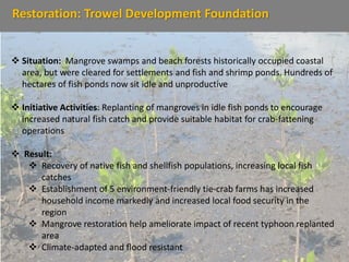 Restoration: Trowel Development Foundation
 Situation: Mangrove swamps and beach forests historically occupied coastal
area, but were cleared for settlements and fish and shrimp ponds. Hundreds of
hectares of fish ponds now sit idle and unproductive
 Initiative Activities: Replanting of mangroves in idle fish ponds to encourage
increased natural fish catch and provide suitable habitat for crab-fattening
operations
 Result:
 Recovery of native fish and shellfish populations, increasing local fish
catches
 Establishment of 5 environment-friendly tie-crab farms has increased
household income markedly and increased local food security in the
region
 Mangrove restoration help ameliorate impact of recent typhoon replanted
area
 Climate-adapted and flood resistant
 
