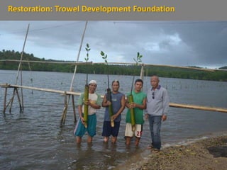 Restoration: Trowel Development Foundation
 
