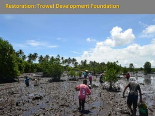 Restoration: Trowel Development Foundation
 