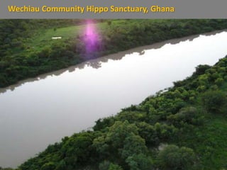 Wechiau Community Hippo Sanctuary, Ghana
 