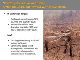 New York Declaration on Forests:
Ambitious Goals, But How Do We Achieve Them?
• NY Declaration Targets:
• Cut loss of natural forests 50%
by 2020, and 100% by 2030.
• Restore 150 Million ha of
degraded forests by2020, and
200 M additional ha by 2030.
• How?
• Tackling plantation ag is critical
but not sufficient.
• Community-based forest
management, restoration, and
protection offers another,
complimentary mechanism.
 