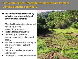 For Communities, Development Benefits are Primary,
Climate Benefits Secondary
 Collective action is motivated by
potential economic, social, and
environmental benefits:
• More livelihood options; increased
household income
• Greater food security
• Restored forest productivity
• Community and personal
empowerment, self-reliance and
agency
• Maintenance of territorial integrity
and preservation of cultural
heritage
• Political and legal empowerment
and inclusion
• Social capital, community cohesion
 