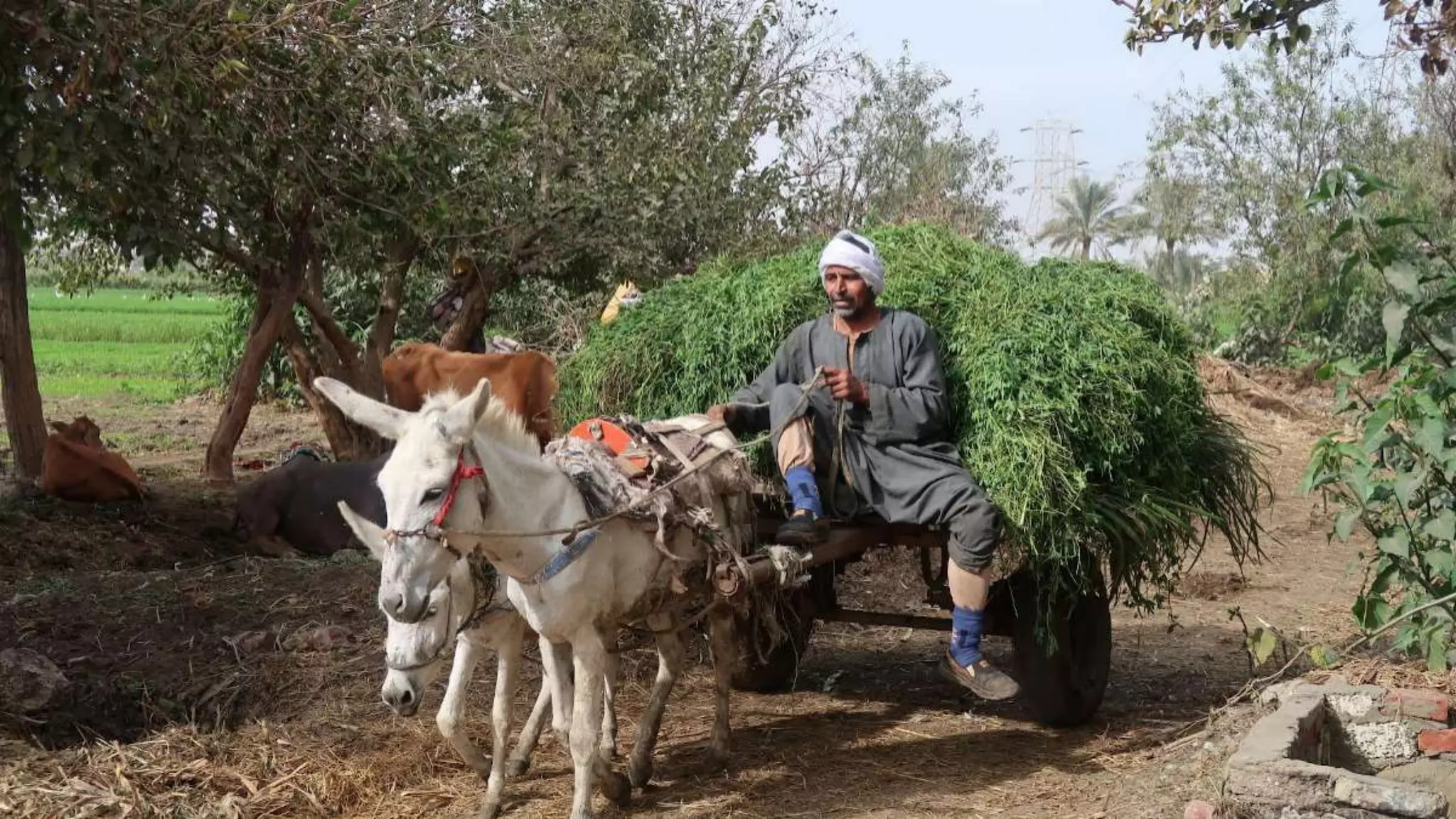 The way to get started
is to quit talking and
begin doing.
Walt Disney
Sample Footer Text 2/3/20XX 10
 