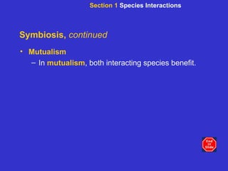 Symbiosis,  continued Mutualism In  mutualism , both interacting species benefit. Section 1  Species Interactions 