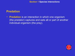 Predation Predation   is an interaction in which one organism (the predator) captures and eats all or part of another individual organism (the prey). Section 1  Species Interactions 