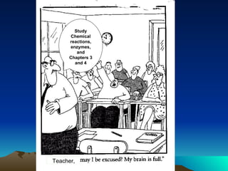 Teacher, Study Chemical reactions, enzymes, and Chapters 3 and 4 
