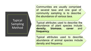 community-structure-my-copy.pptx