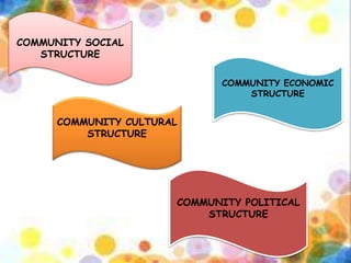 COMMUNITY SOCIAL
STRUCTURE
COMMUNITY CULTURAL
STRUCTURE
COMMUNITY POLITICAL
STRUCTURE
COMMUNITY ECONOMIC
STRUCTURE
 
