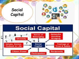 Social
Capital

 