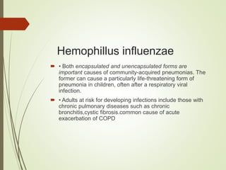 Hemophillus influenzae
 • Both encapsulated and unencapsulated forms are
important causes of community-acquired pneumonias. The
former can cause a particularly life-threatening form of
pneumonia in children, often after a respiratory viral
infection.
 • Adults at risk for developing infections include those with
chronic pulmonary diseases such as chronic
bronchitis,cystic fibrosis.common cause of acute
exacerbation of COPD
 