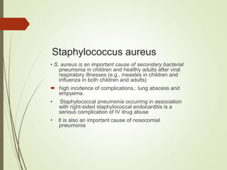 Staphylococcus aureus
• S. aureus is an important cause of secondary bacterial
pneumonia in children and healthy adults after viral
respiratory illnesses (e.g., measles in children and
influenza in both children and adults)
 high incidence of complications,: lung abscess and
empyema.
• Staphylococcal pneumonia occurring in association
with right-sided staphylococcal endocarditis is a
serious complication of IV drug abuse
• It is also an important cause of nosocomial
pneumonia
 
