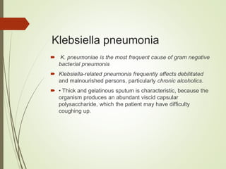 Klebsiella pneumonia
 K. pneumoniae is the most frequent cause of gram negative
bacterial pneumonia
 Klebsiella-related pneumonia frequently affects debilitated
and malnourished persons, particularly chronic alcoholics.
 • Thick and gelatinous sputum is characteristic, because the
organism produces an abundant viscid capsular
polysaccharide, which the patient may have difficulty
coughing up.
 