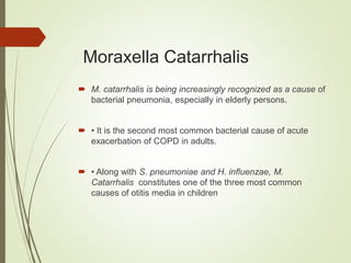 Moraxella Catarrhalis
 M. catarrhalis is being increasingly recognized as a cause of
bacterial pneumonia, especially in elderly persons.
 • It is the second most common bacterial cause of acute
exacerbation of COPD in adults.
 • Along with S. pneumoniae and H. influenzae, M.
Catarrhalis constitutes one of the three most common
causes of otitis media in children
 