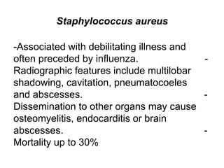 Staphylococcus aureus
-Associated with debilitating illness and
often preceded by influenza. -
Radiographic features include multilobar
shadowing, cavitation, pneumatocoeles
and abscesses. -
Dissemination to other organs may cause
osteomyelitis, endocarditis or brain
abscesses. -
Mortality up to 30%
 