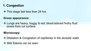 Frothy Stage Community Acquired Pneumonia Pathophysiology | PPTX