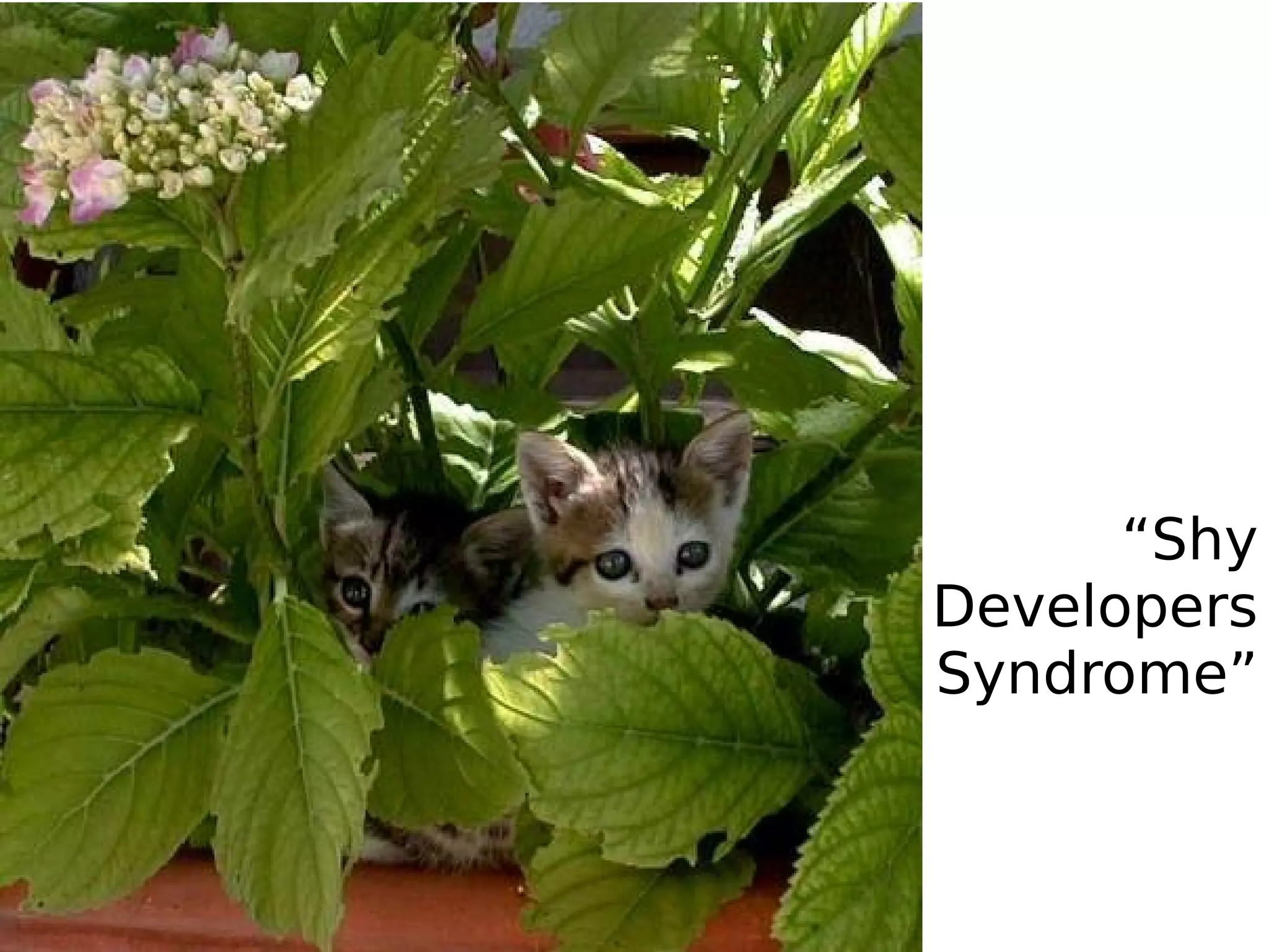 “Shy
Developers
Syndrome”
 