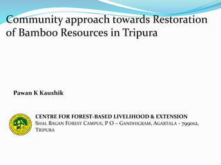 Community approach towards Restoration
of Bamboo Resources in Tripura
CENTRE FOR FOREST-BASED LIVELIHOOD & EXTENSION
SHAL BAGAN FOREST CAMPUS, P O – GANDHIGRAM, AGARTALA - 799012,
TRIPURA
Pawan K Kaushik
 