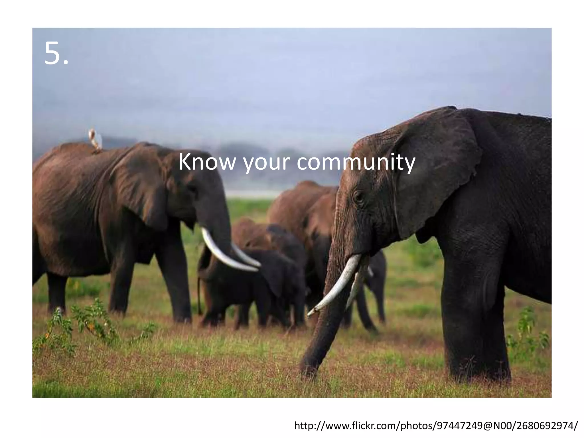 5.Know your communityhttp://www.flickr.com/photos/97447249@N00/2680692974/