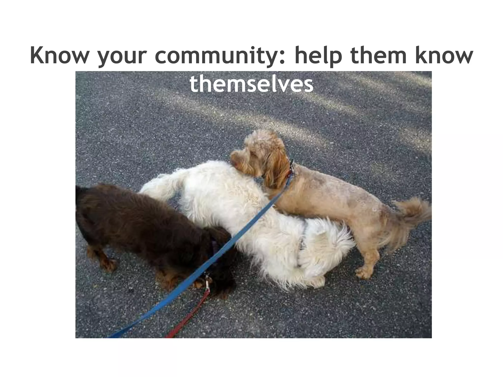 Know your community: help them know themselves