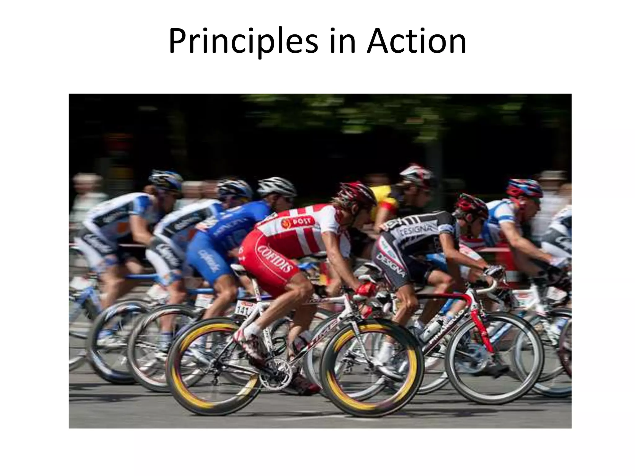 Principles in Action