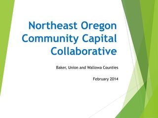 Northeast Oregon
Community Capital
Collaborative
Baker, Union and Wallowa Counties
February 2014

 