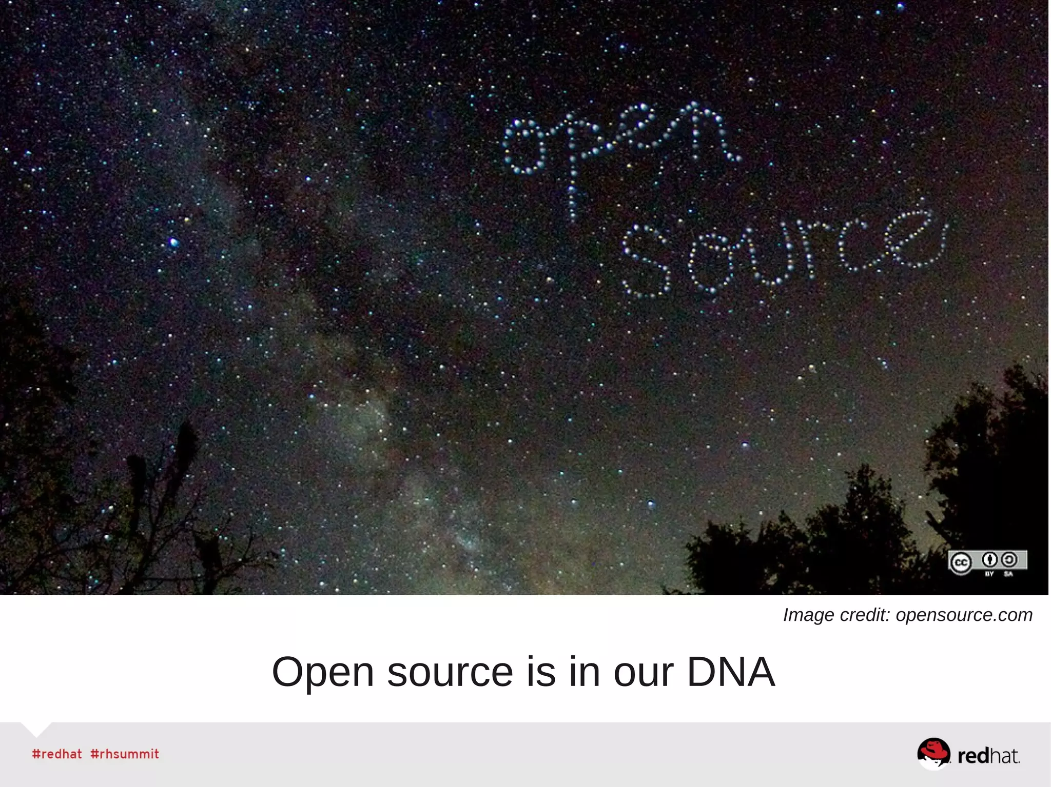 Open source is in our DNA
Image credit: opensource.com
 