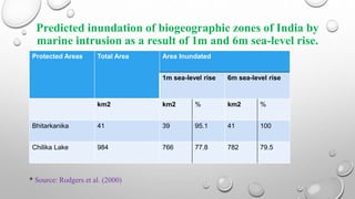 Predicted inundation of biogeographic zones of India by
marine intrusion as a result of 1m and 6m sea-level rise.
Protected Areas Total Area Area Inundated
1m sea-level rise 6m sea-level rise
km2 km2 % km2 %
Bhitarkanika 41 39 95.1 41 100
Chilika Lake 984 766 77.8 782 79.5
* Source: Rodgers et al. (2000)
 