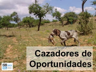 Cazadores de Oportunidades