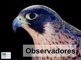 Observadores