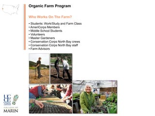 Develop Iconic Gateways