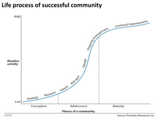 A Community Development Process Community Development | PDF